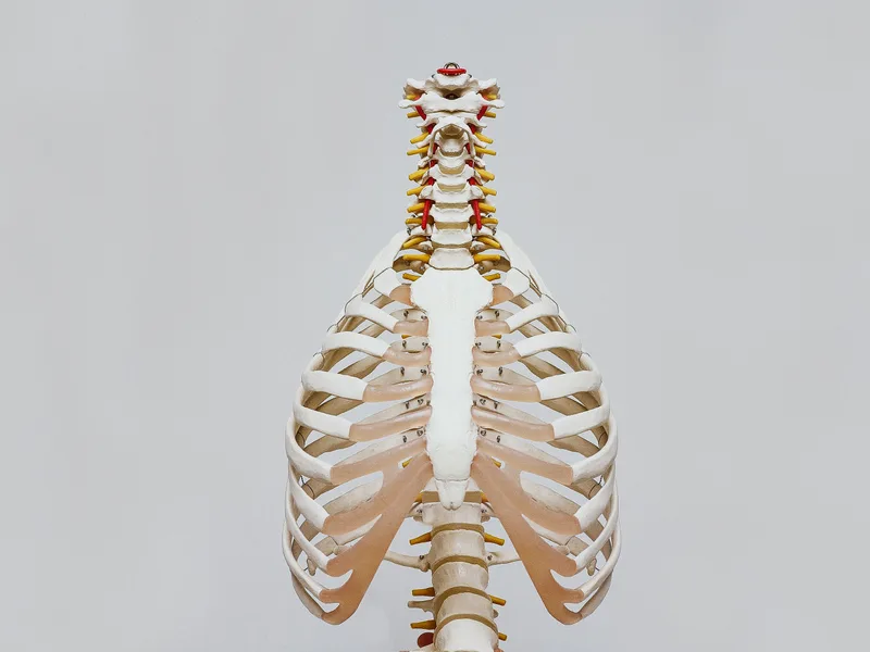 How X-Rays works at ProKinetic